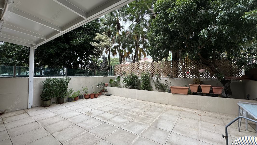 Royal Palms