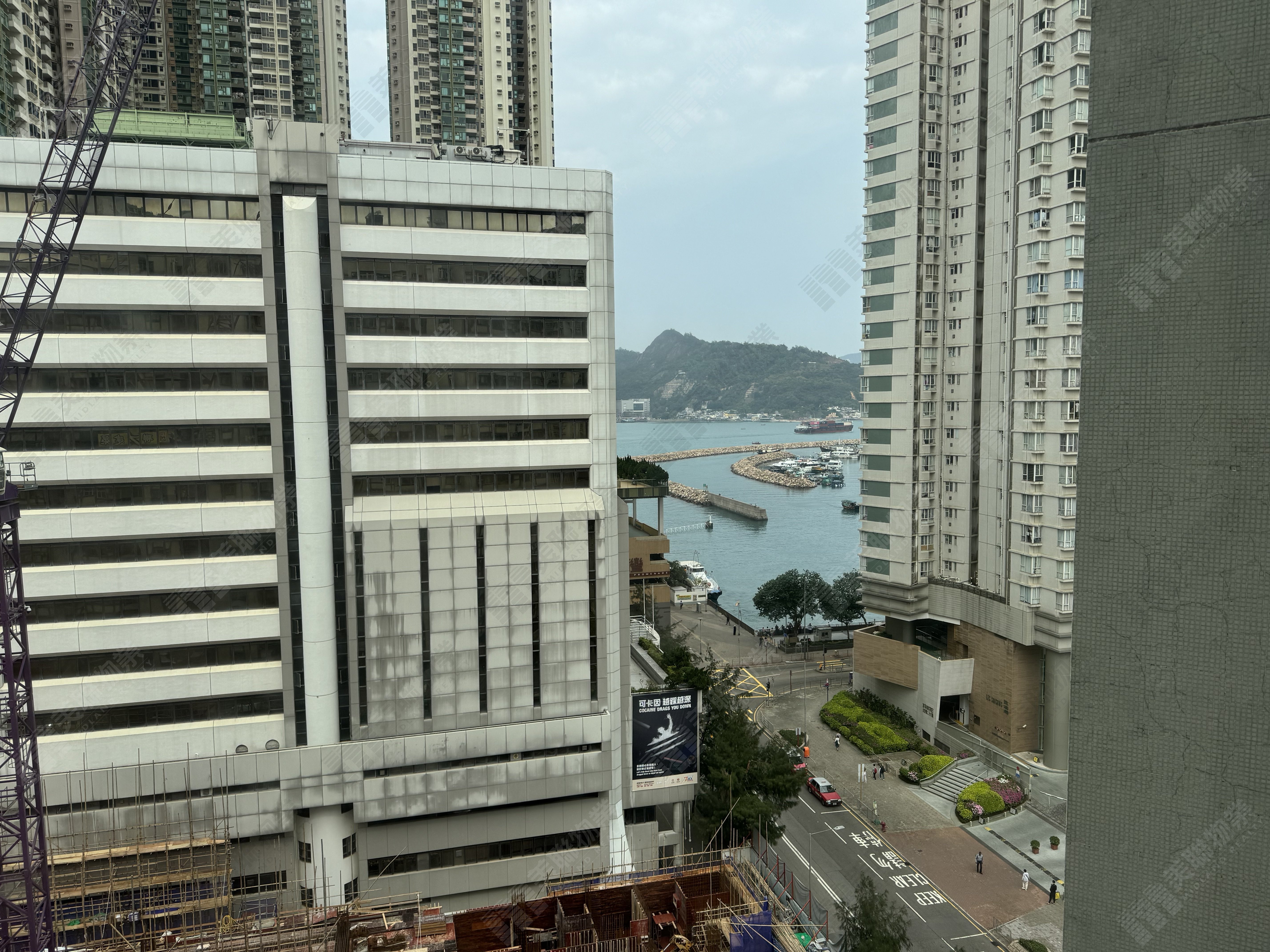 鯉景灣